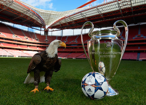 2023南宁马拉松落幕，男女冠军创赛会纪录